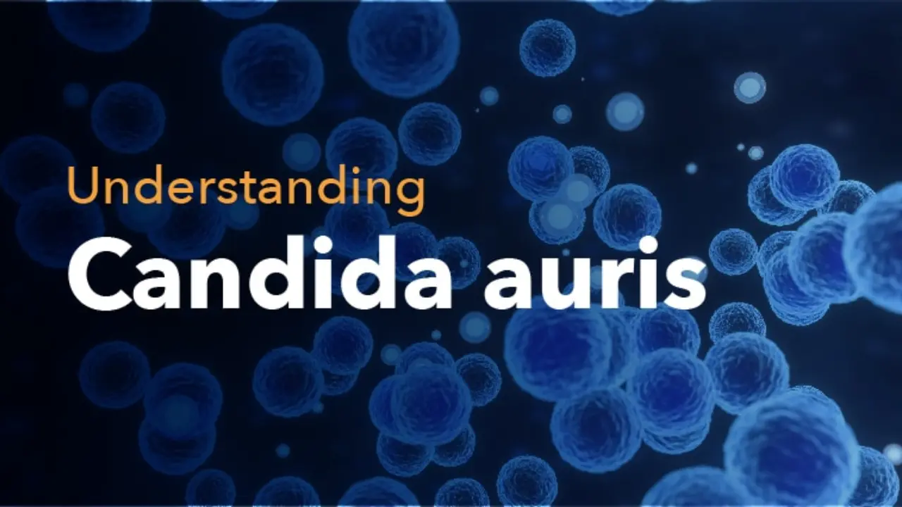 Candida auris Symptoms Recognizing the Signs of a Persistent Fungal Infection